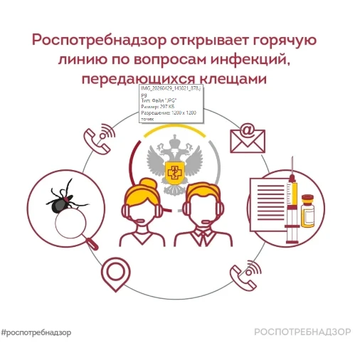 Всероссийская горячая линия по вопросам профилактики клещевого вирусного энцефалита